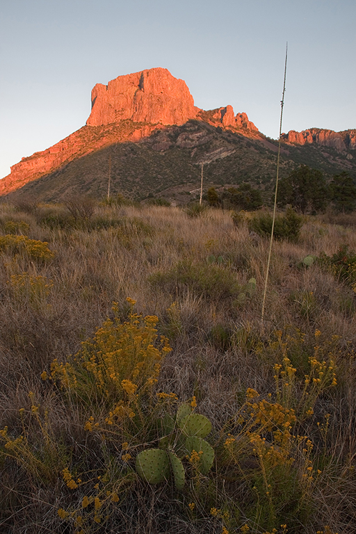 27_Big Bend National Park_16.jpg